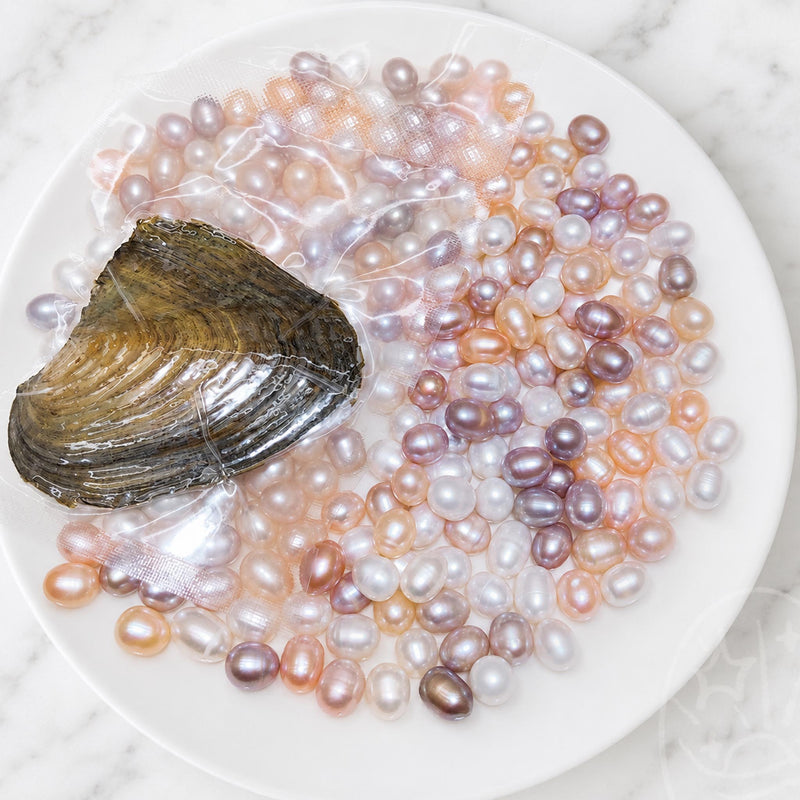 SEED CLAM