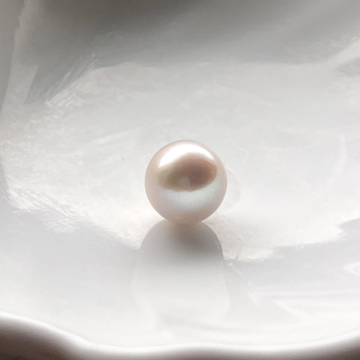 White Edison Pearl【5pc Edison Pearls】(Only 14 left)