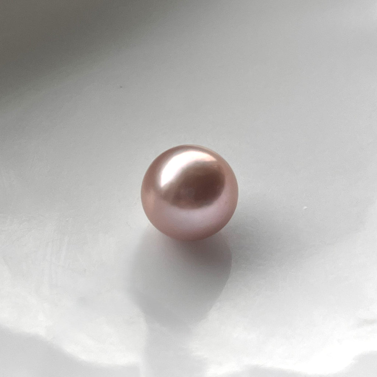 Blush Edison Pearl【5pc Edison Pearls】(Only 7 left)