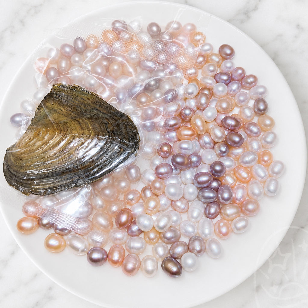 Drift Bean Clam (15 Drift Bean Pearls)