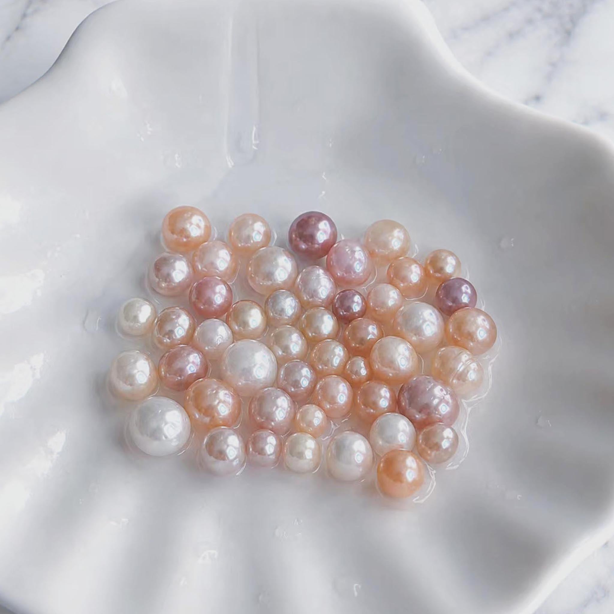 Jelly Bean Clam (20+ Jelly Bean Pearls)