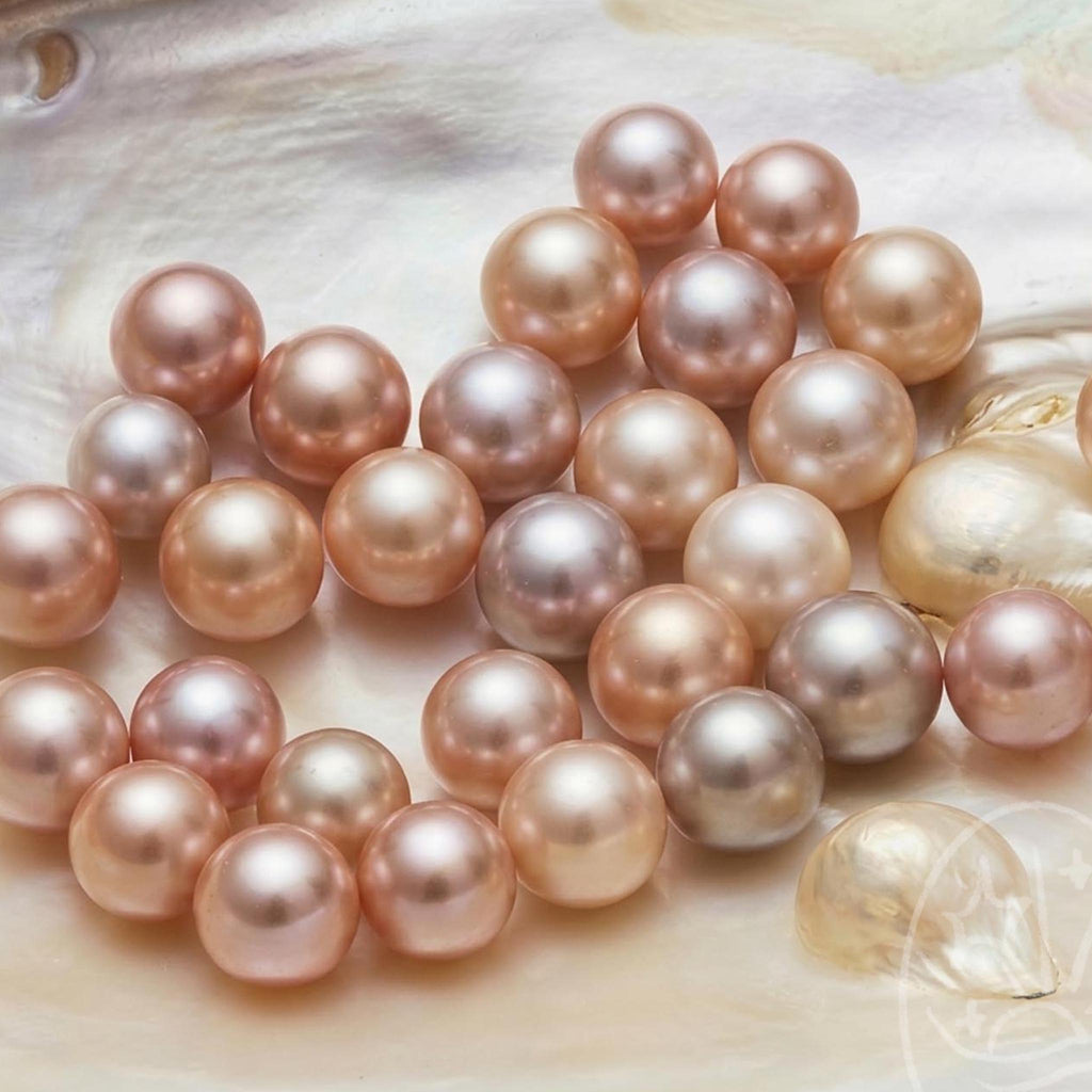 Blush Edison Clam ( 9–11mm soft blush pink tone)