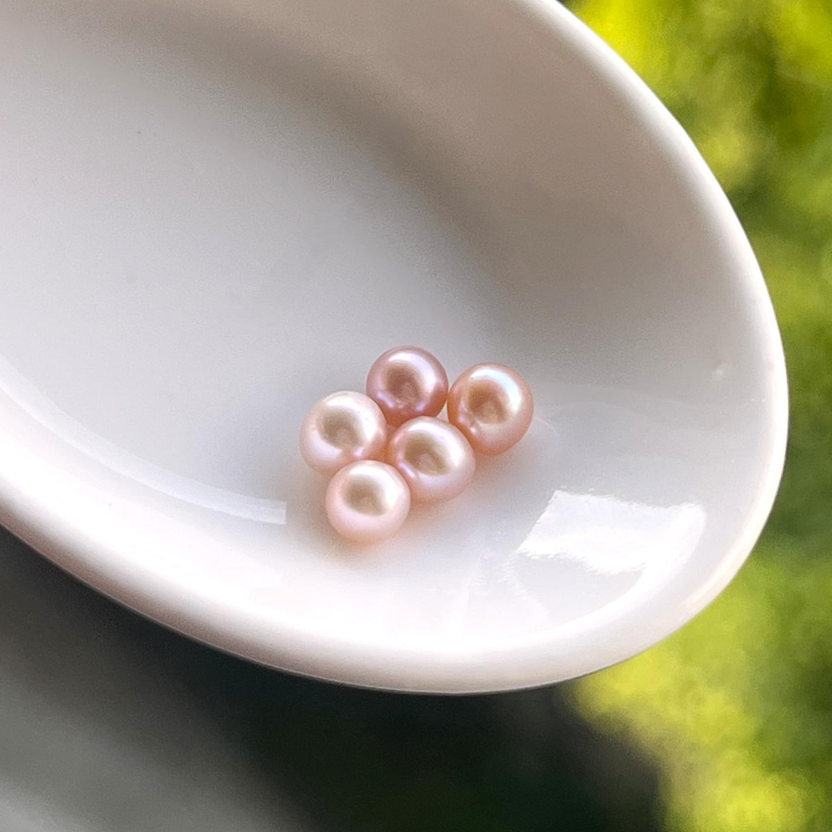 Pink Akoya Pearl【5pc Akoya Pearls】(Only 1 left)
