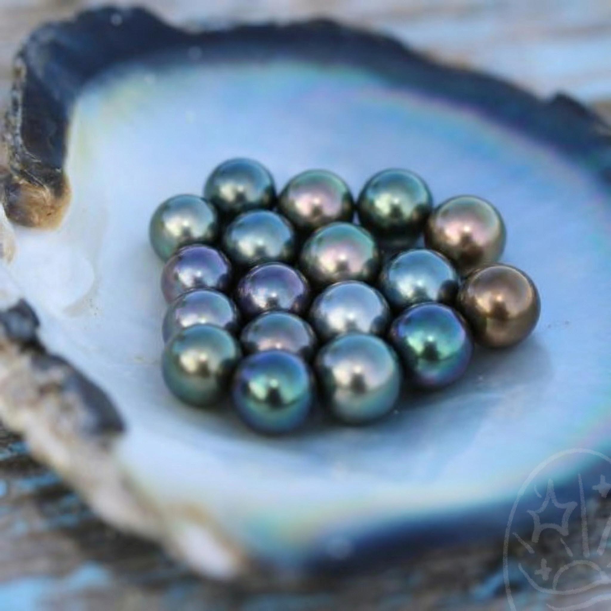 Tide Prime Tahitian Pearl【1pc Tahitian Pearls】(Only 3 left)